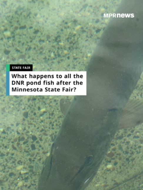 @MPR News