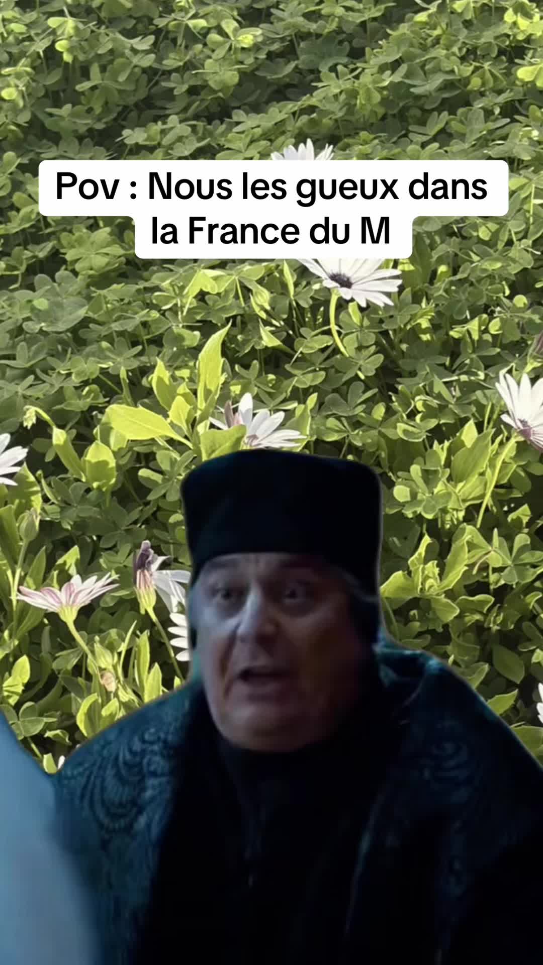 @Cat