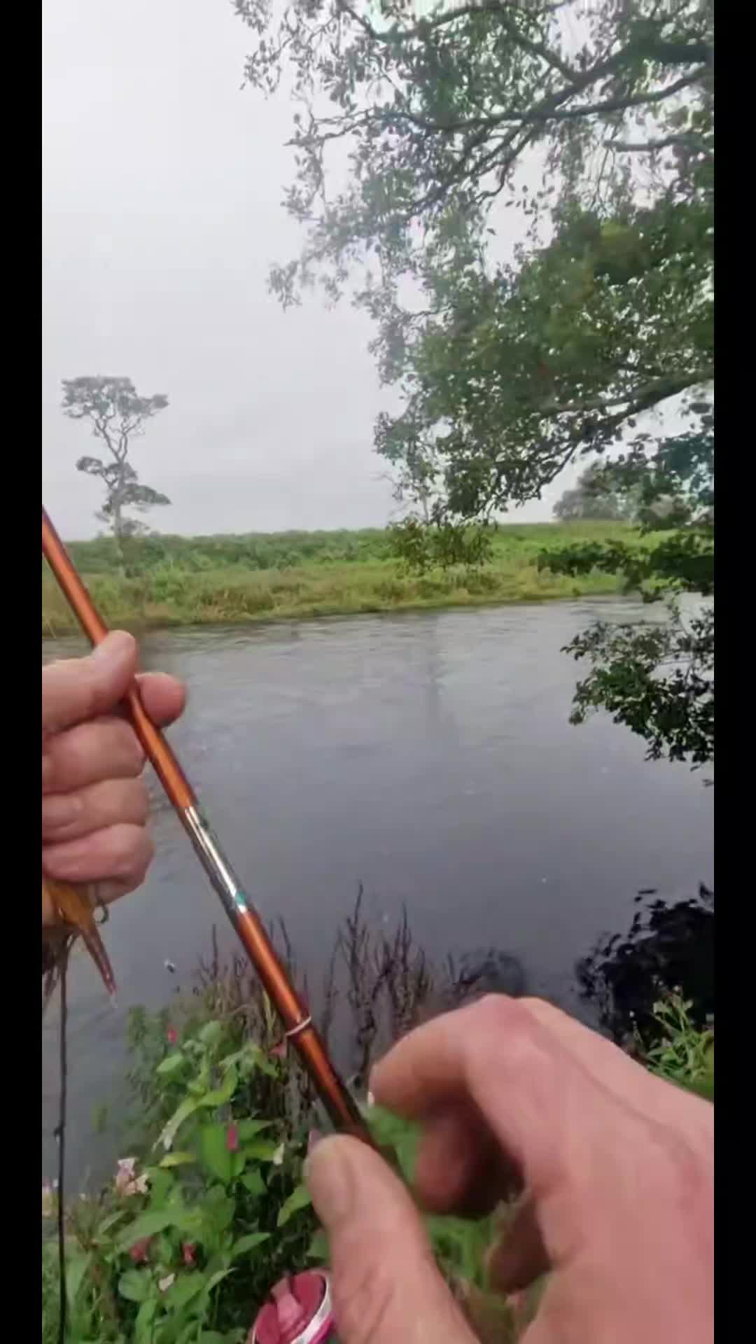 @The Black Douglas Angling