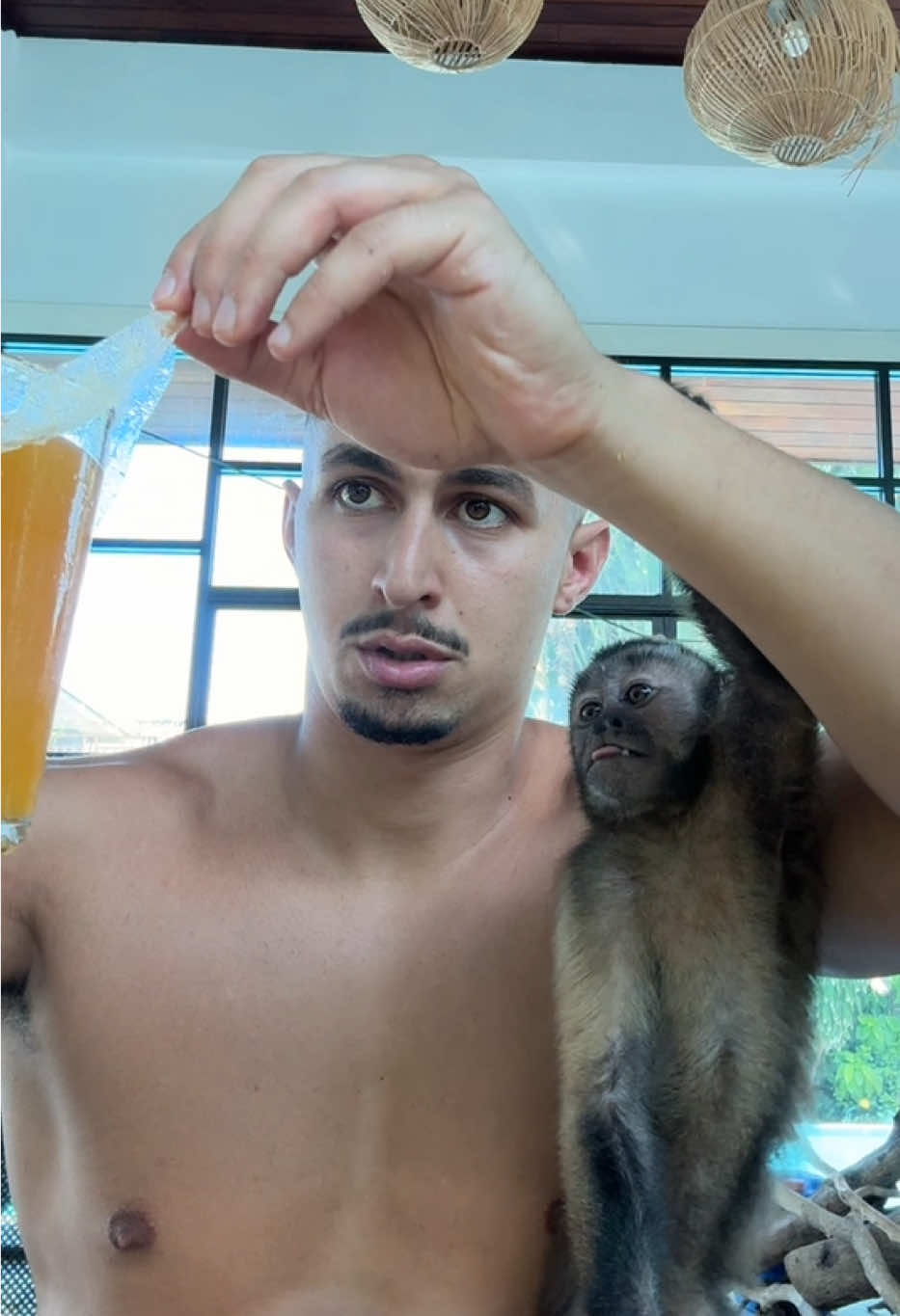 @Tarzane 🦍