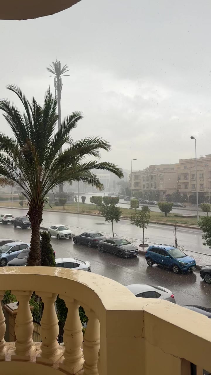 @Menna Usf