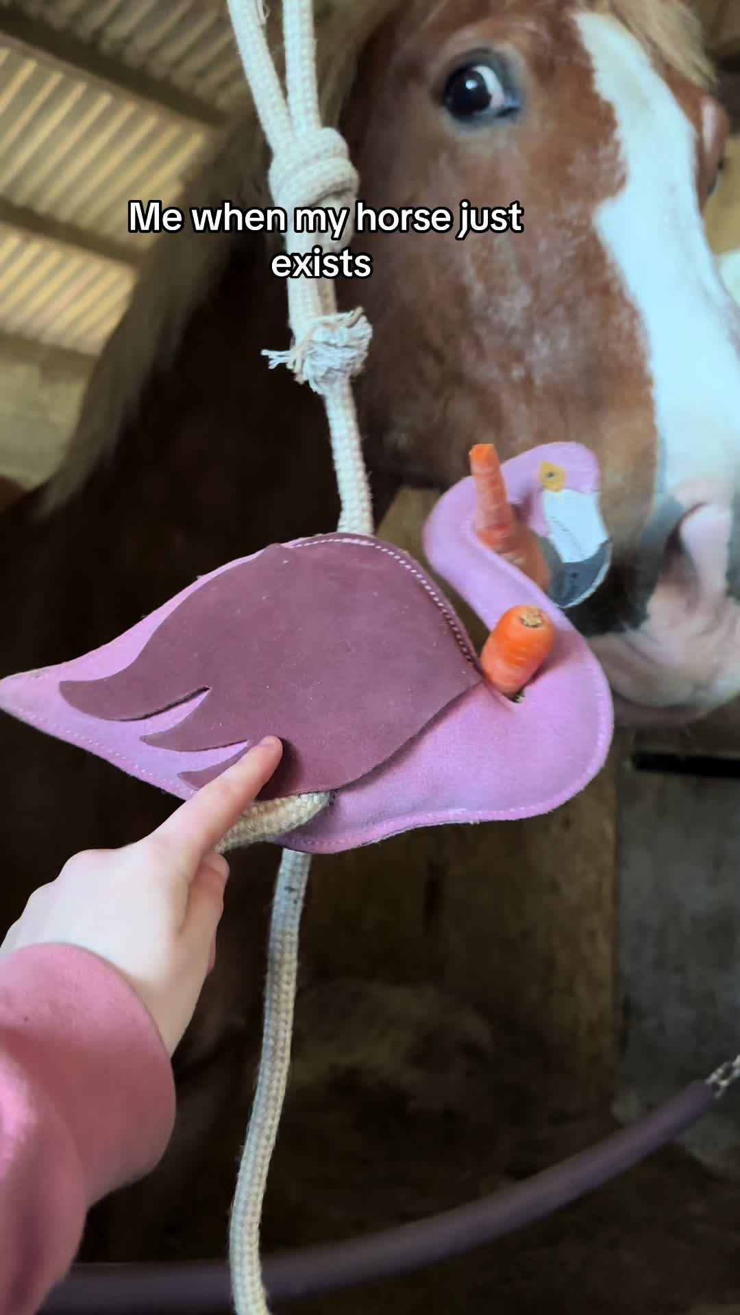 @Ellie 🐴🏎️