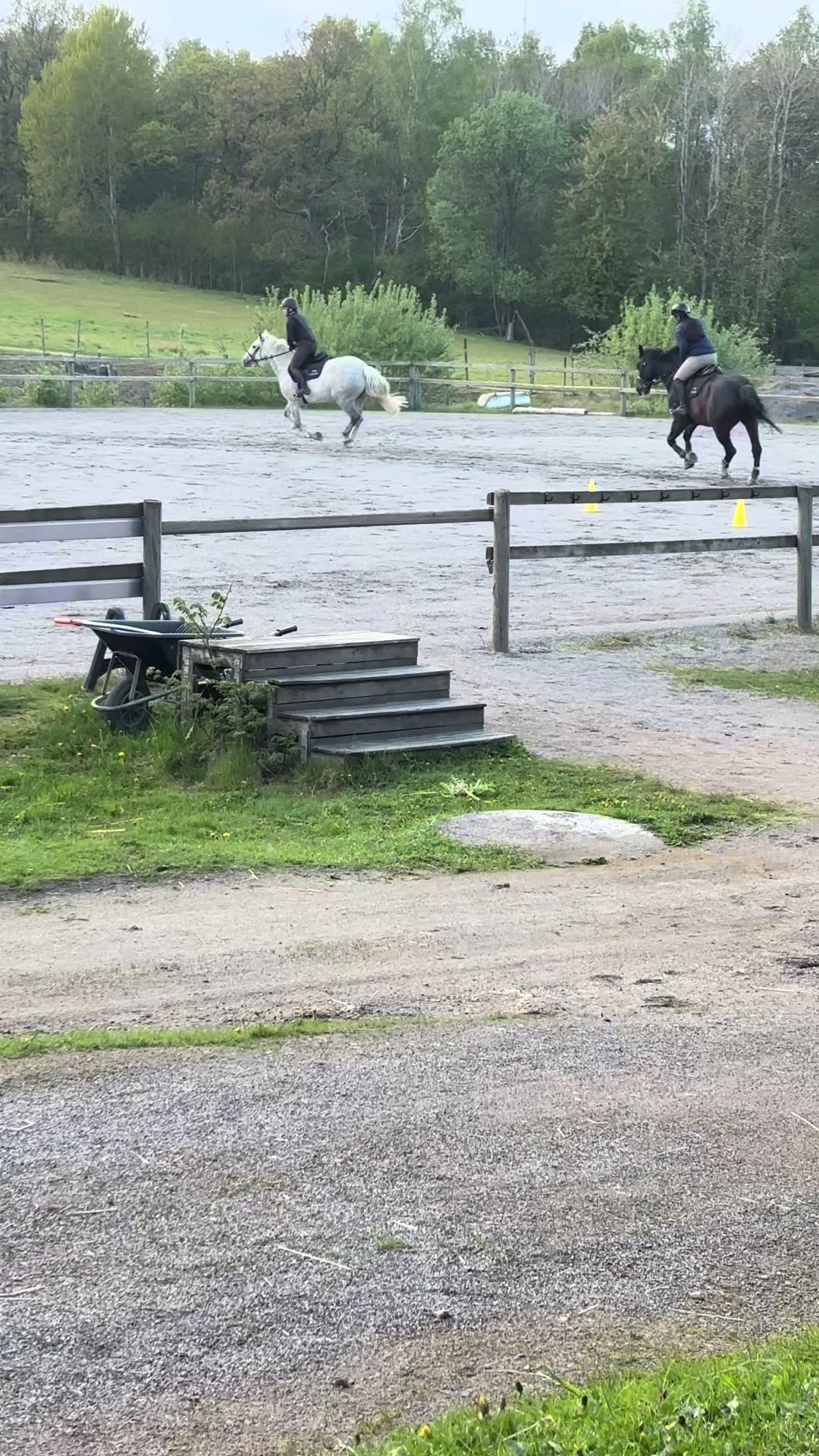 @Tilda Zöller🇸🇪