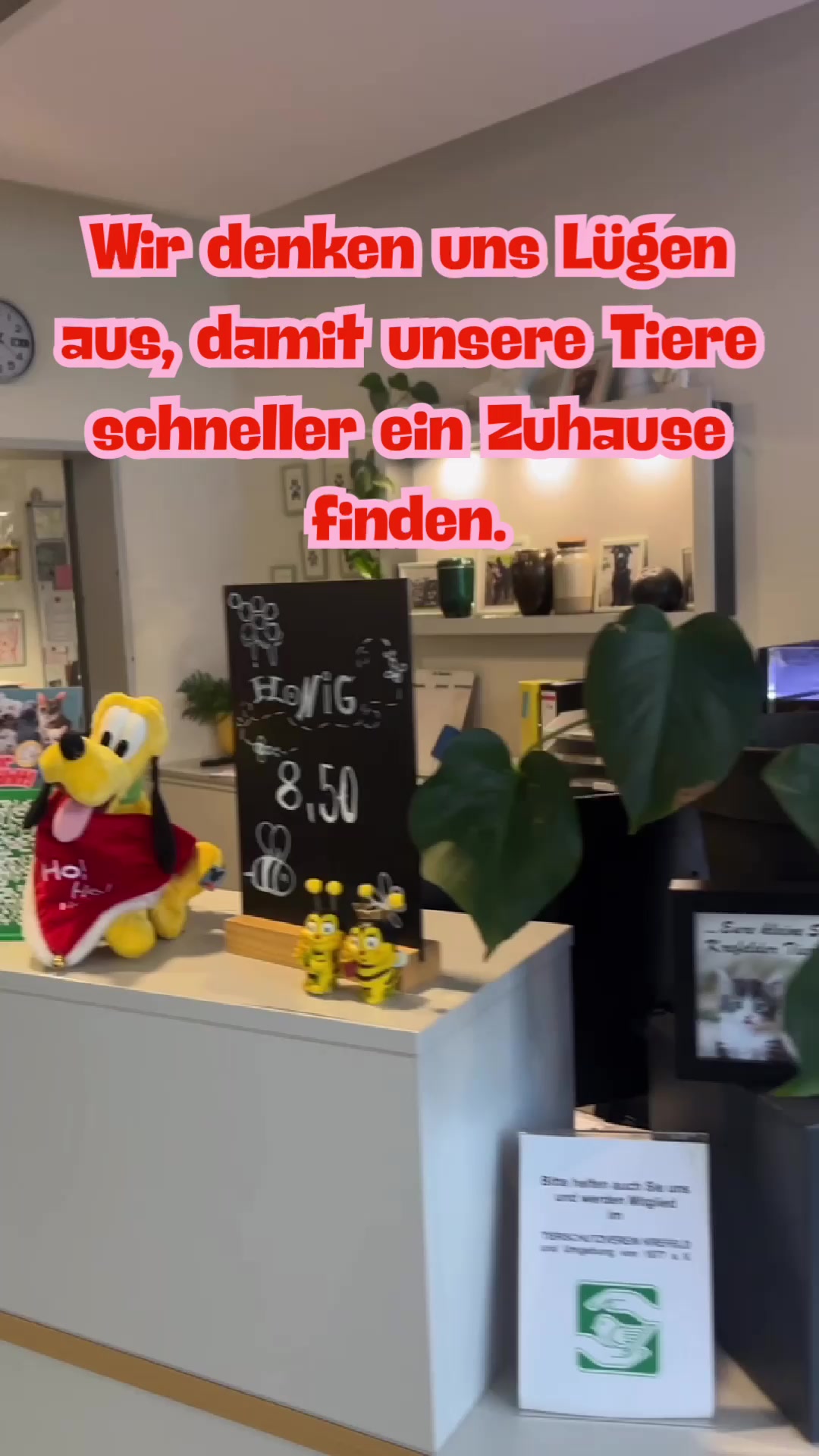 @TierheimKR