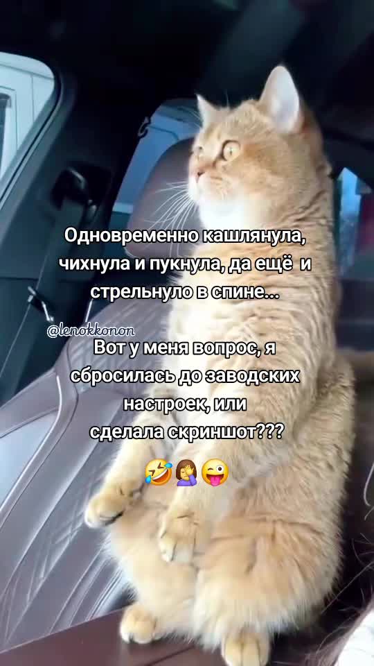 @Lenok