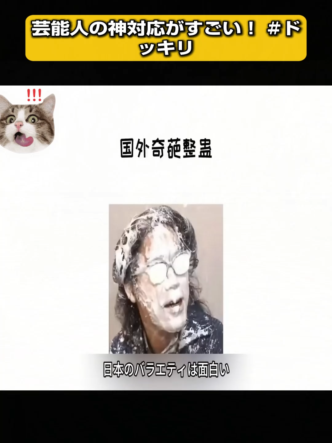 @ソラタビの泉：謎と雑学の探検隊