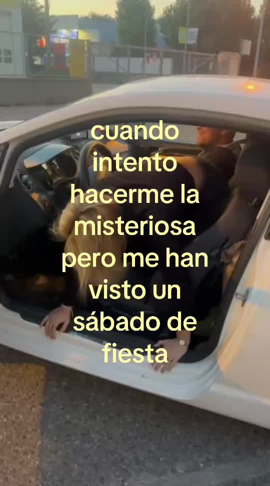 @ivet_ms13