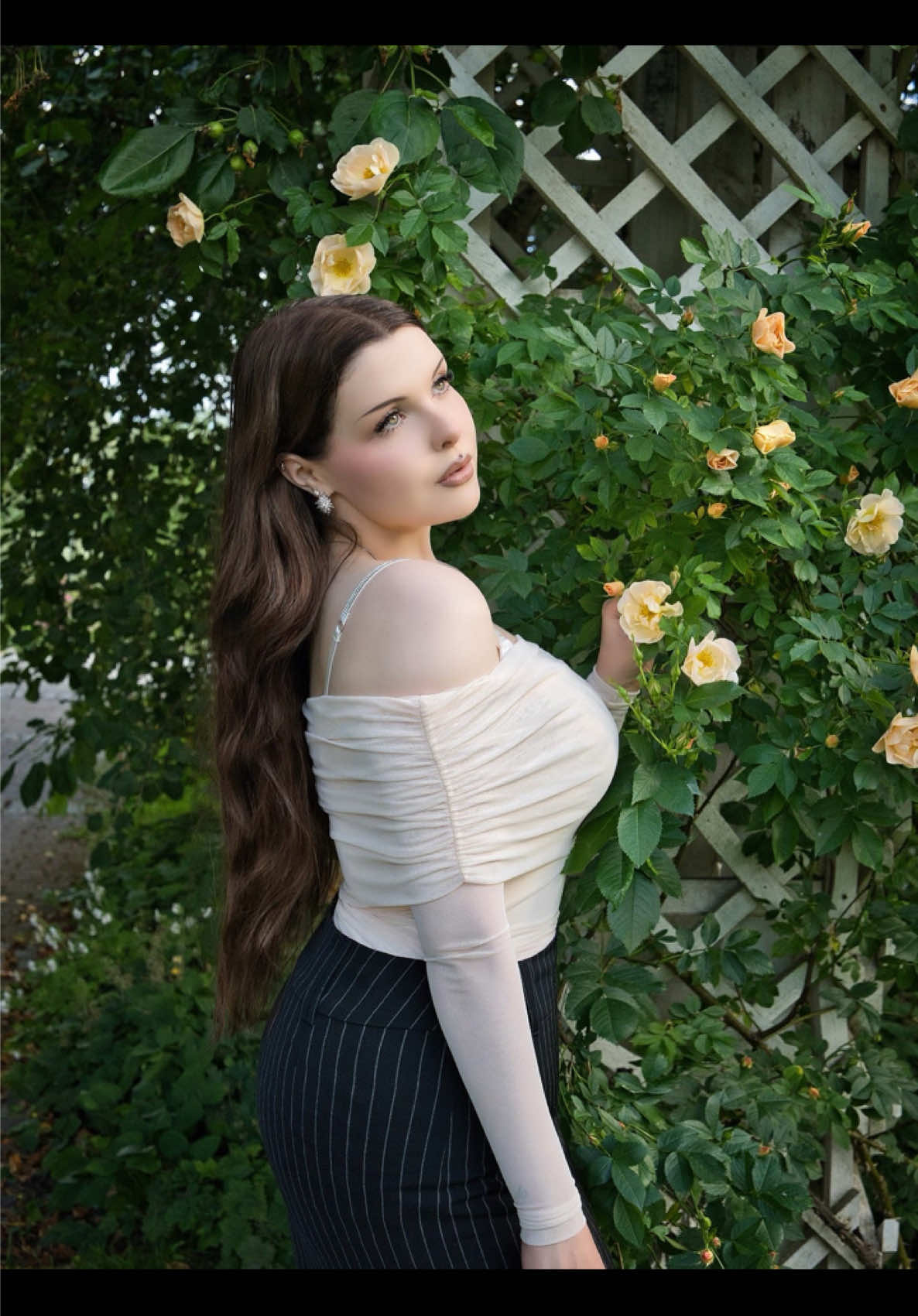 @Vimpulano