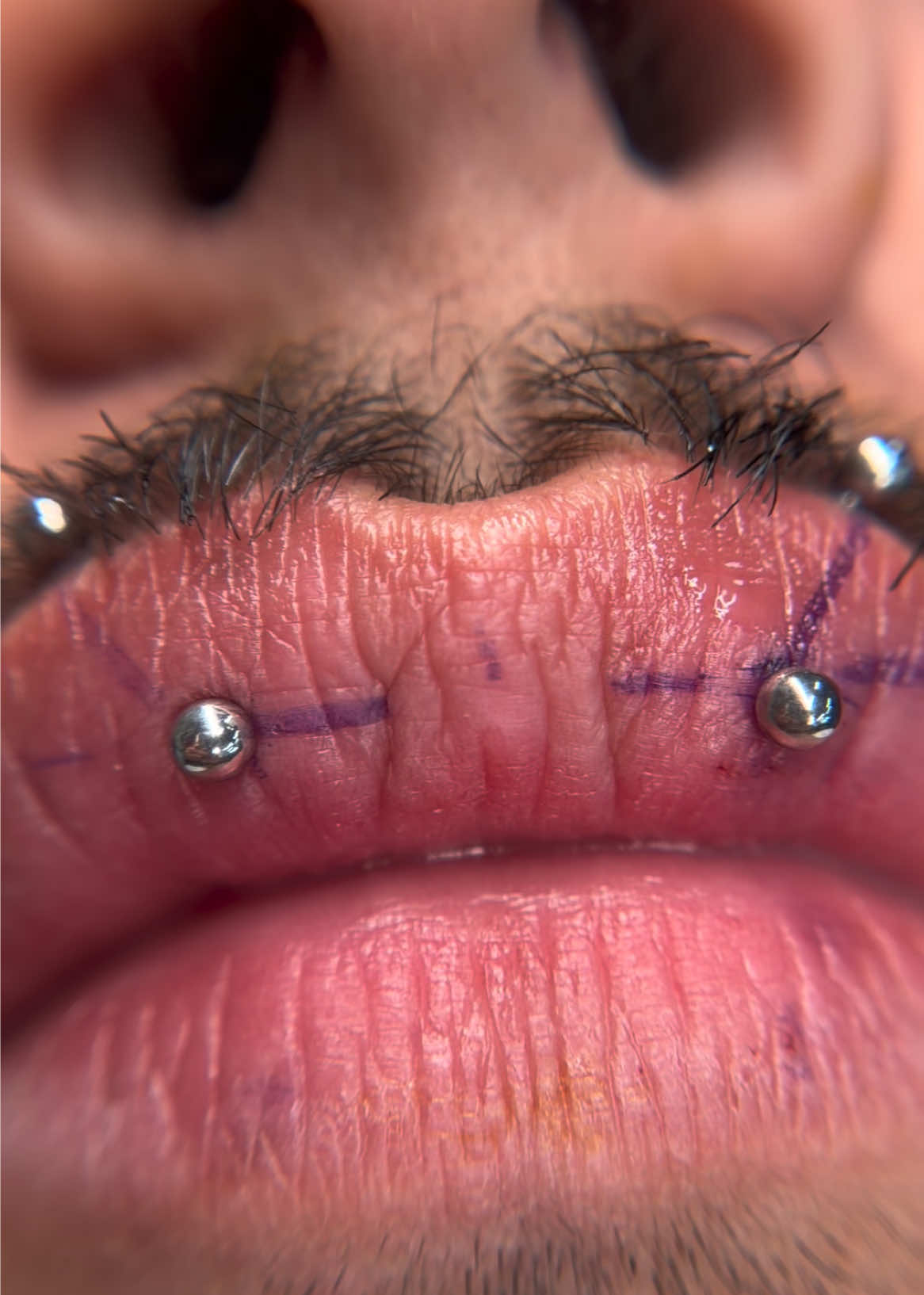 @PiercerSol | SATX Piercings