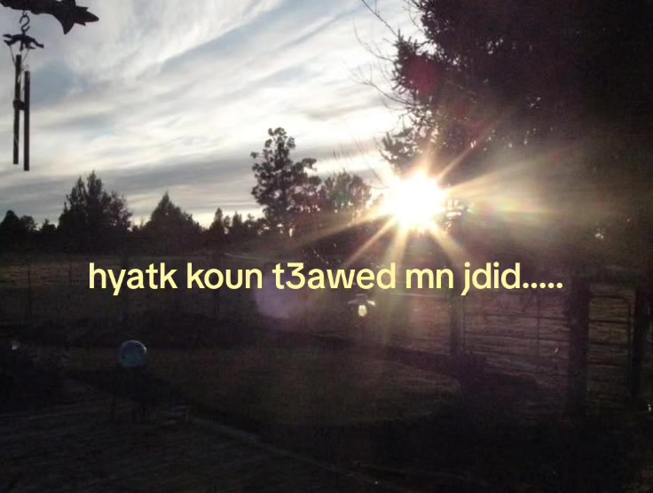 @6ilkey