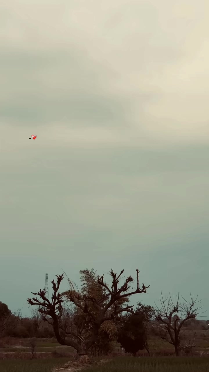 @ابو بکر