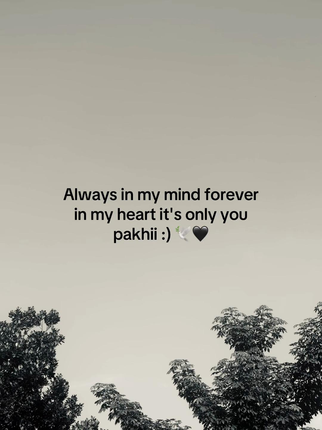 @𝗔𝘇𝗶𝘇𝘂𝗹_🧃🌷