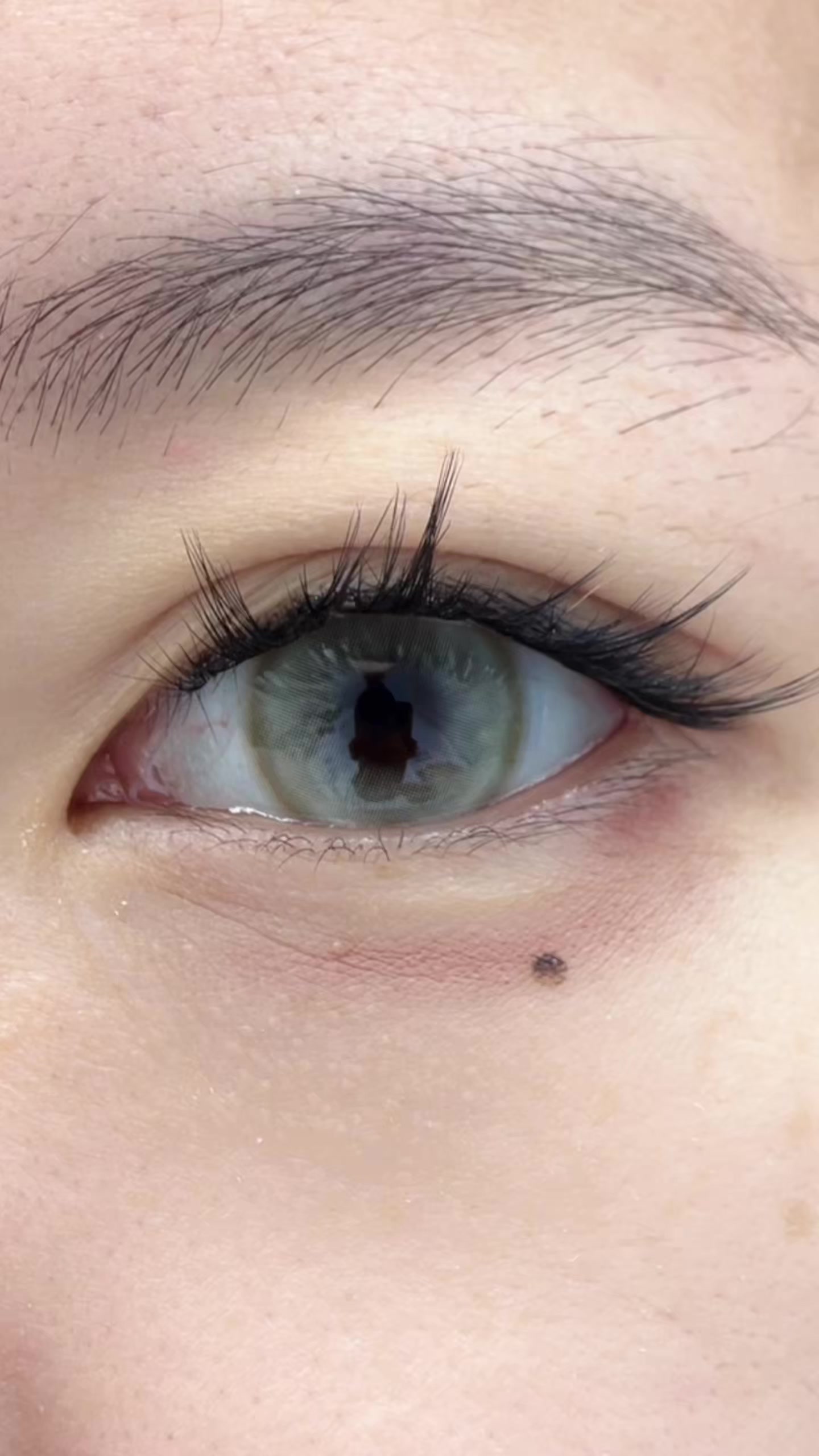 @lashgod_mother