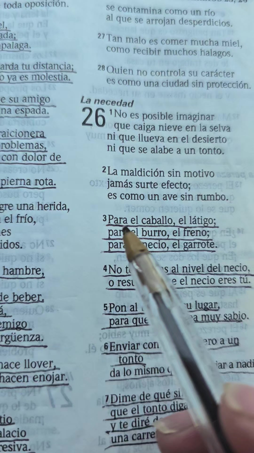@Palabra de Dios
