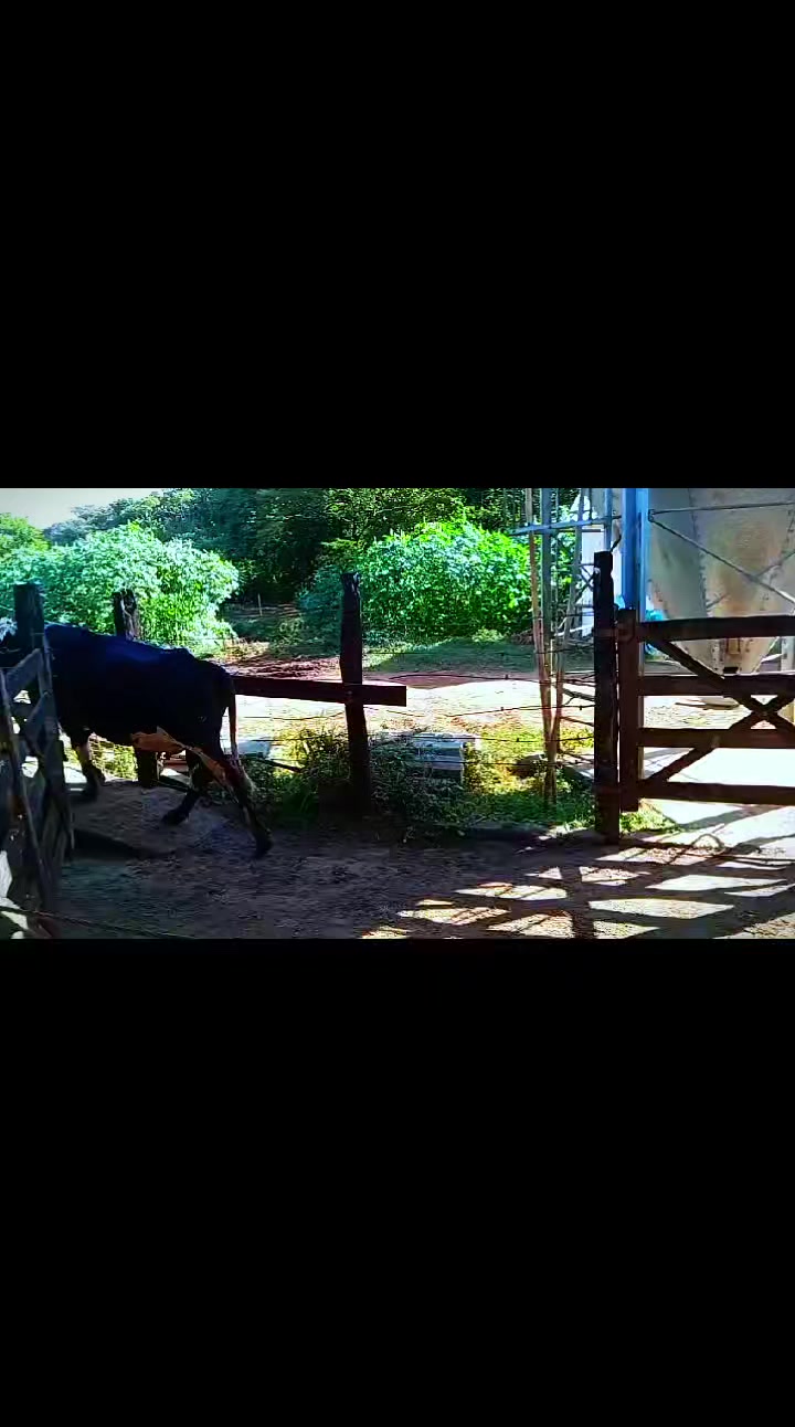 @Fazenda Santa Rosa