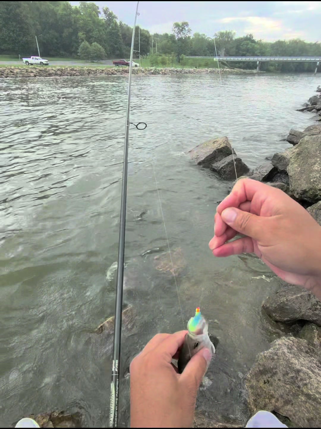 @Dave’s Lazy Baits