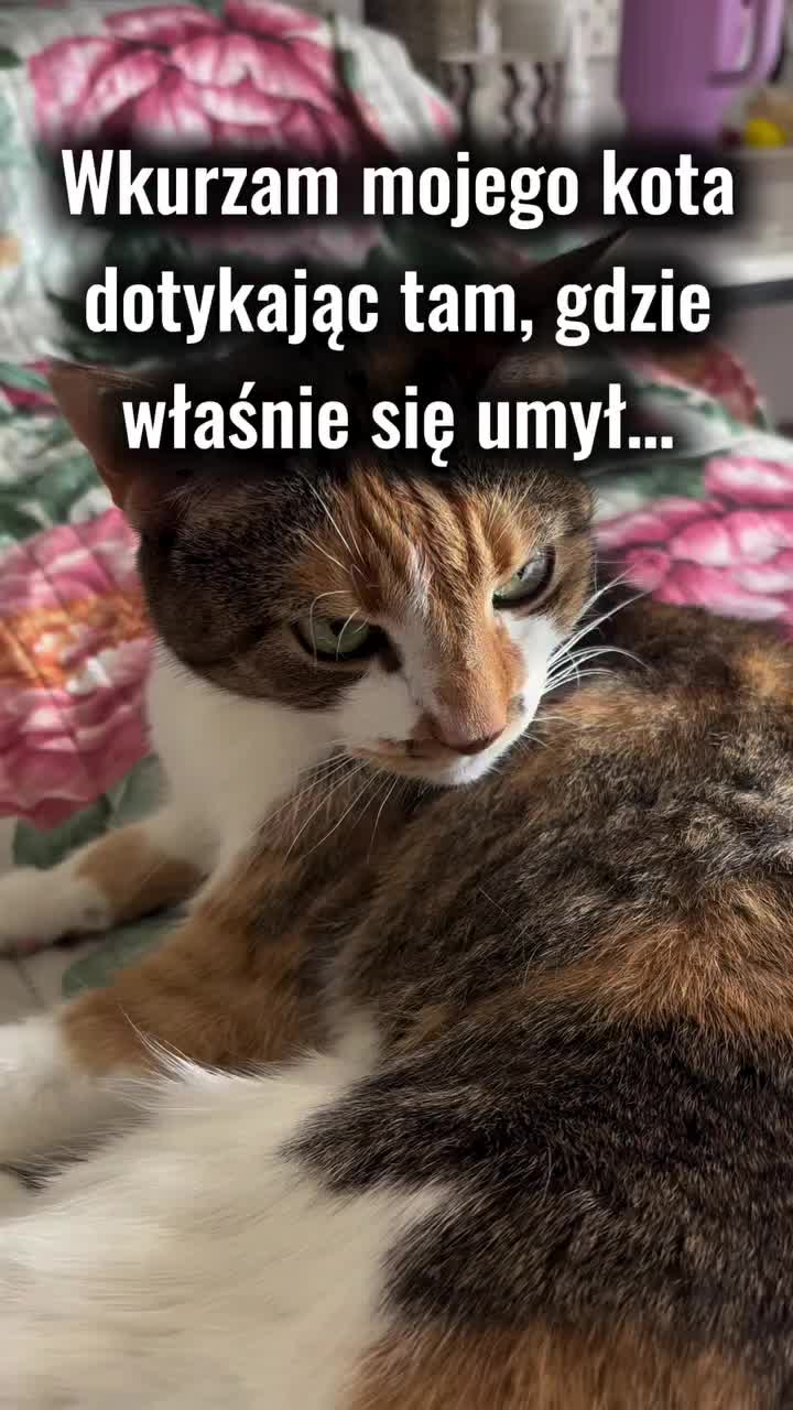 @Krzysztof Wójtowicz