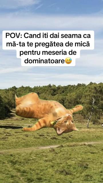 @dana.garagau