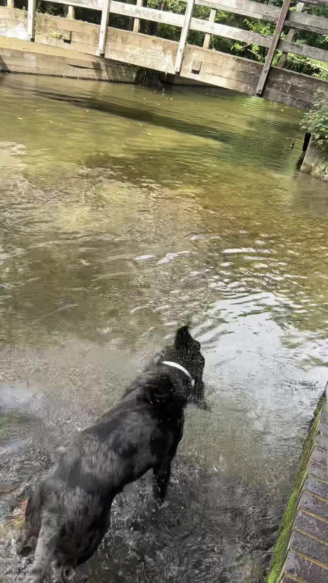 @Leotheleopardlab