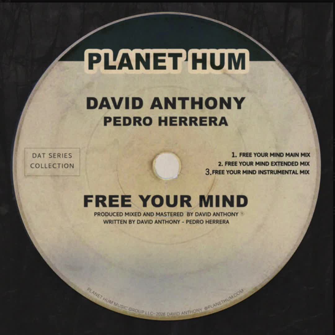 @David Anthony