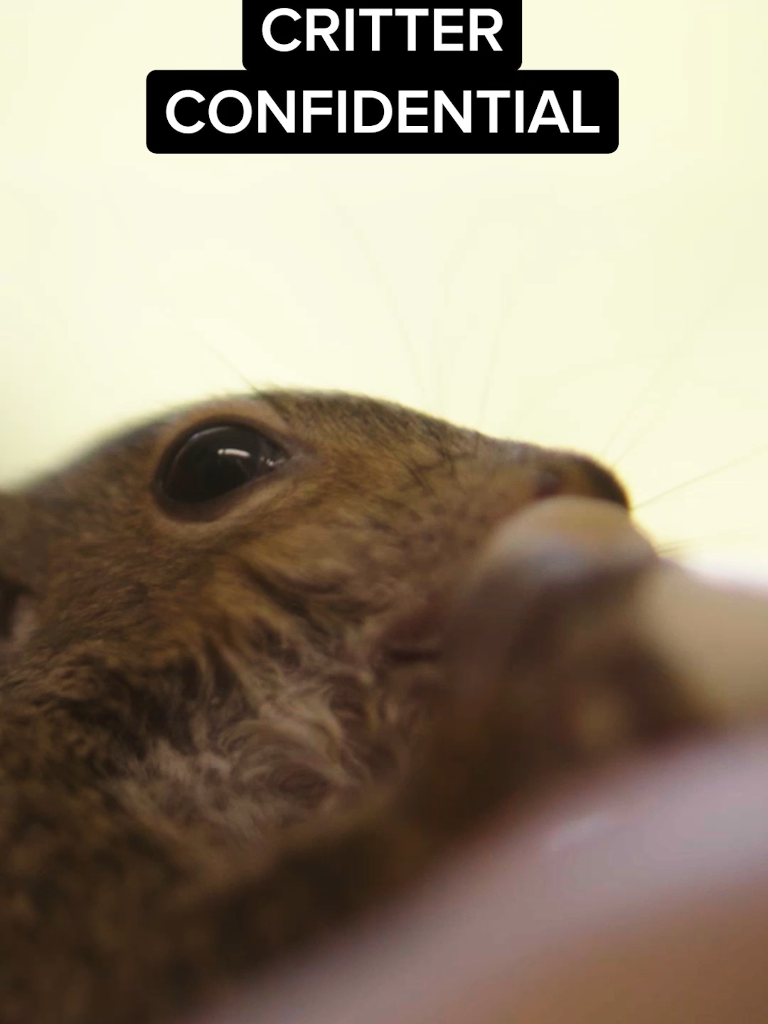 @carhartt