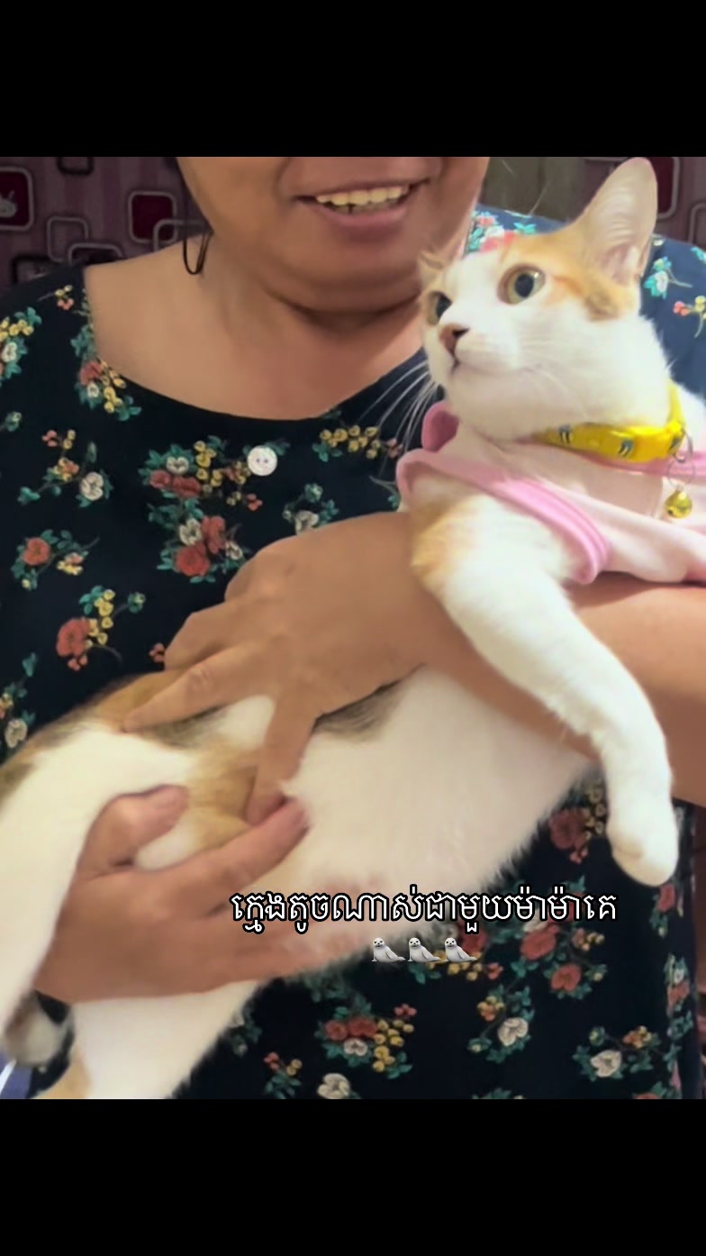 @Mew mew