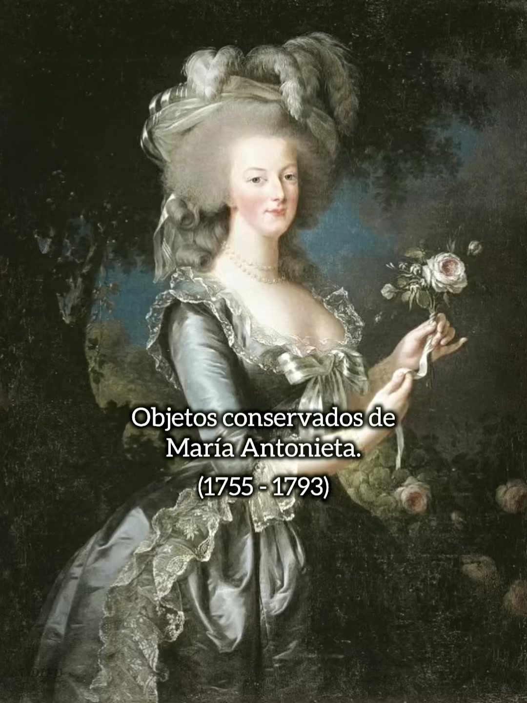 @MARIÉ ANTONIETTE
