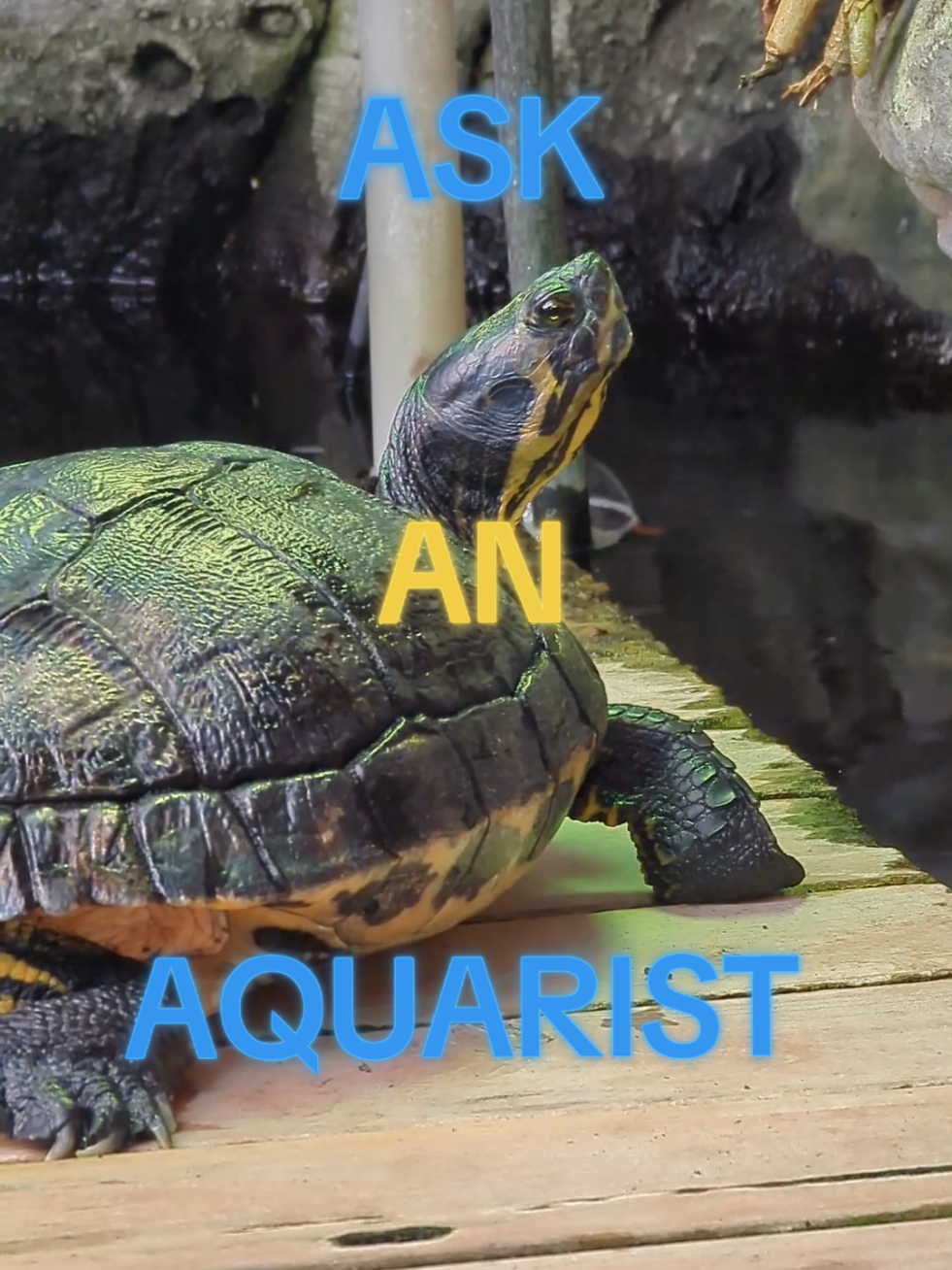 @BristolAquarium