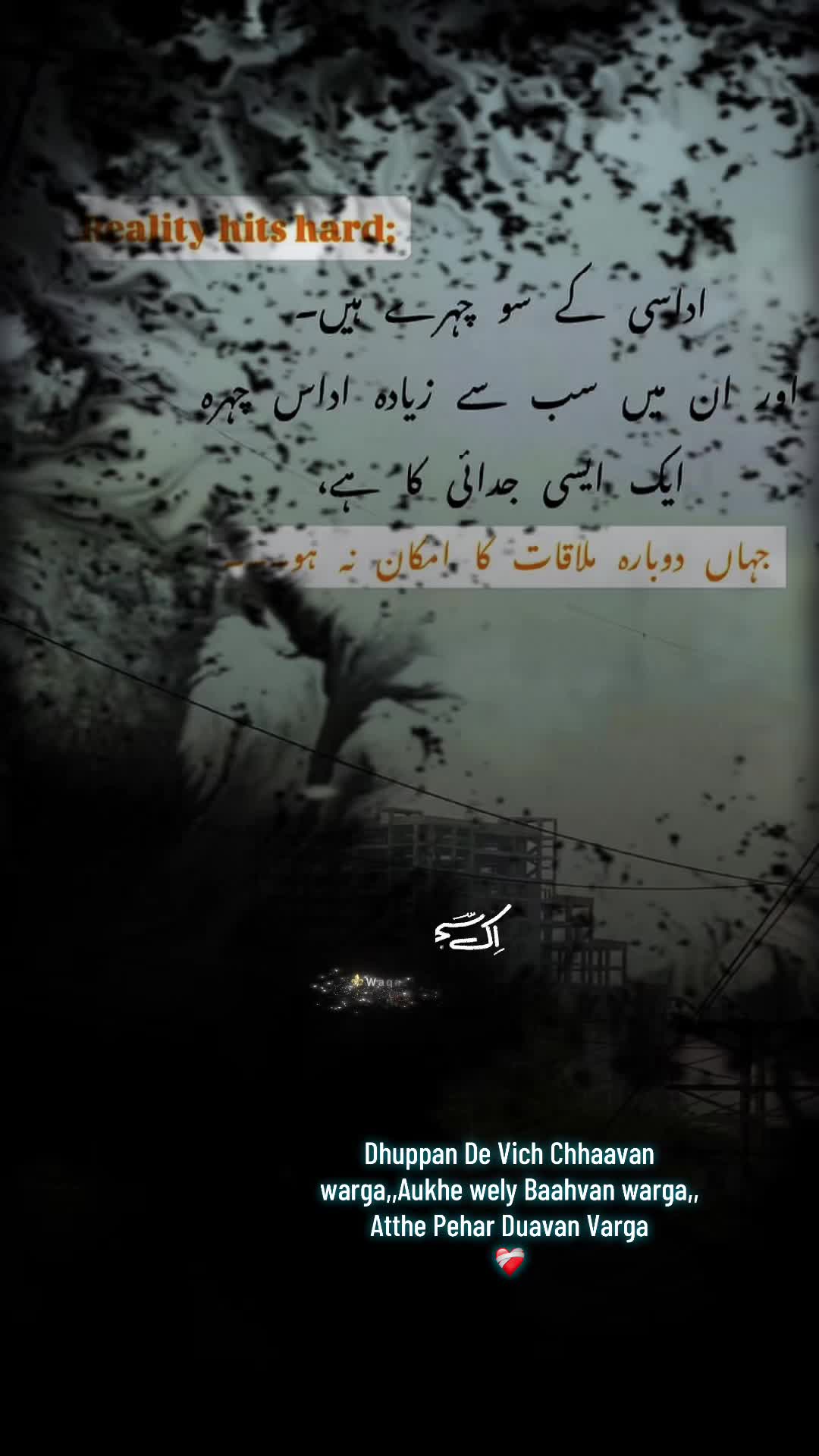 @Aamal_noor