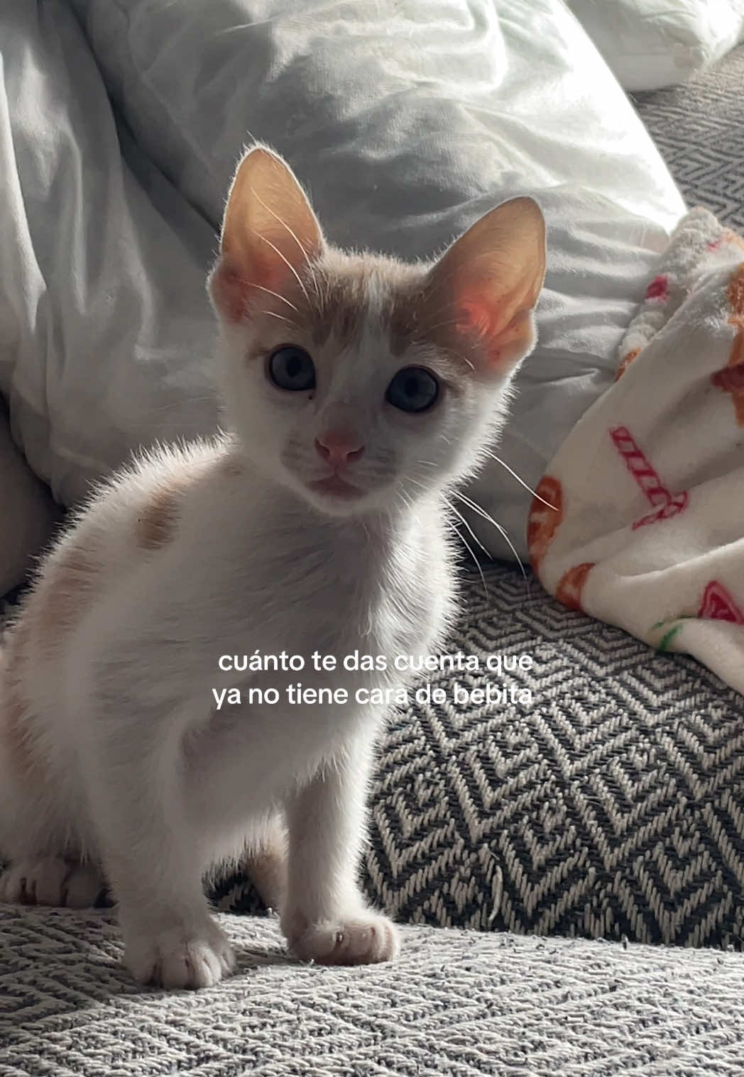 @rubenvaalle