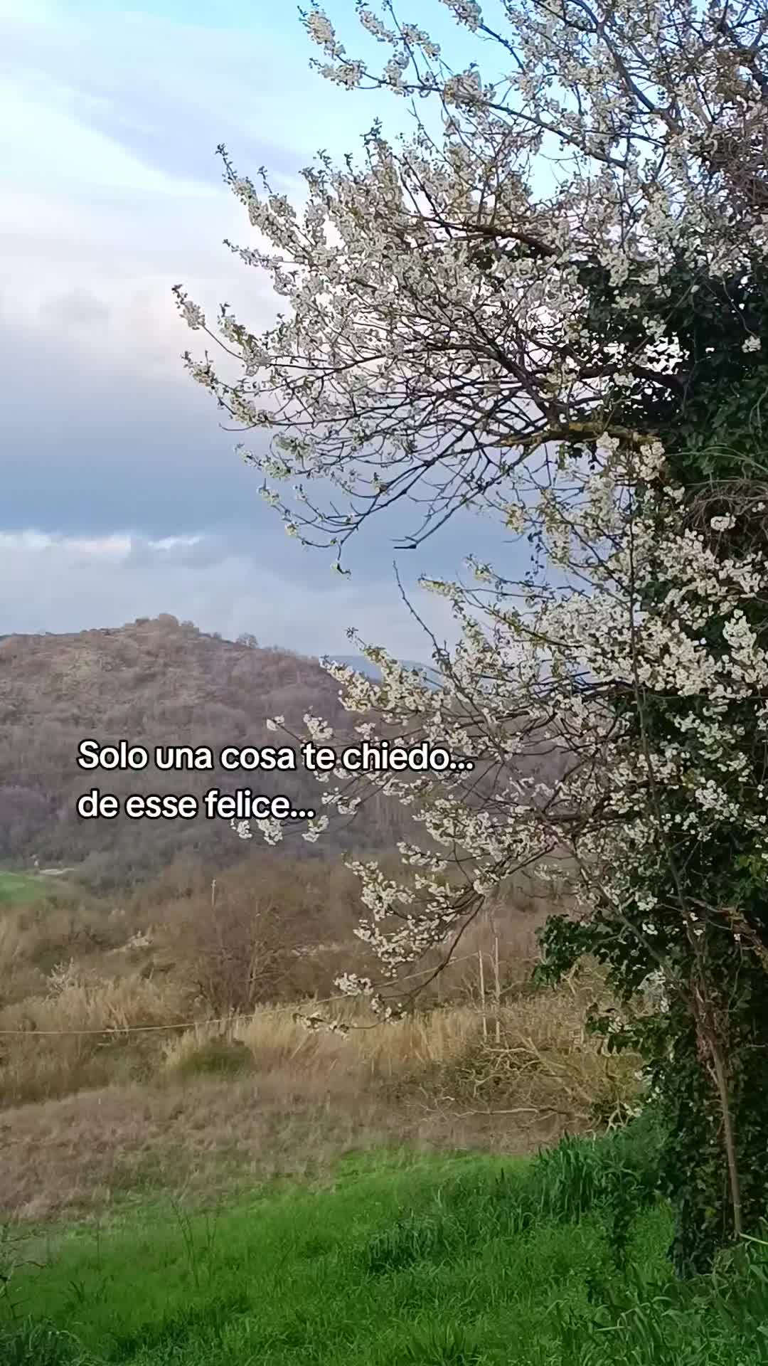 @francescaa.
