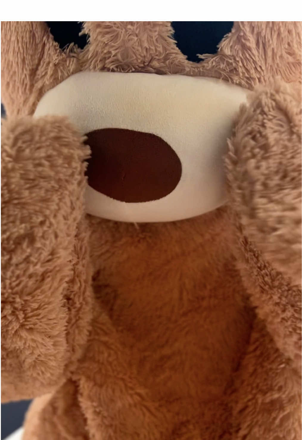 @teddytok