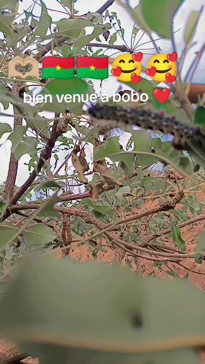 @la pommes fraîche 🍏