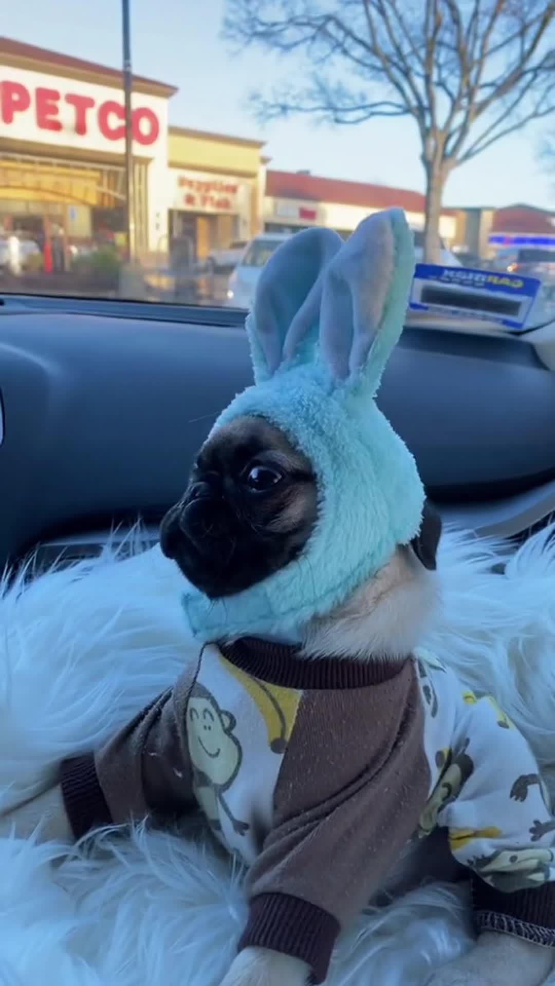 @TvTuppy