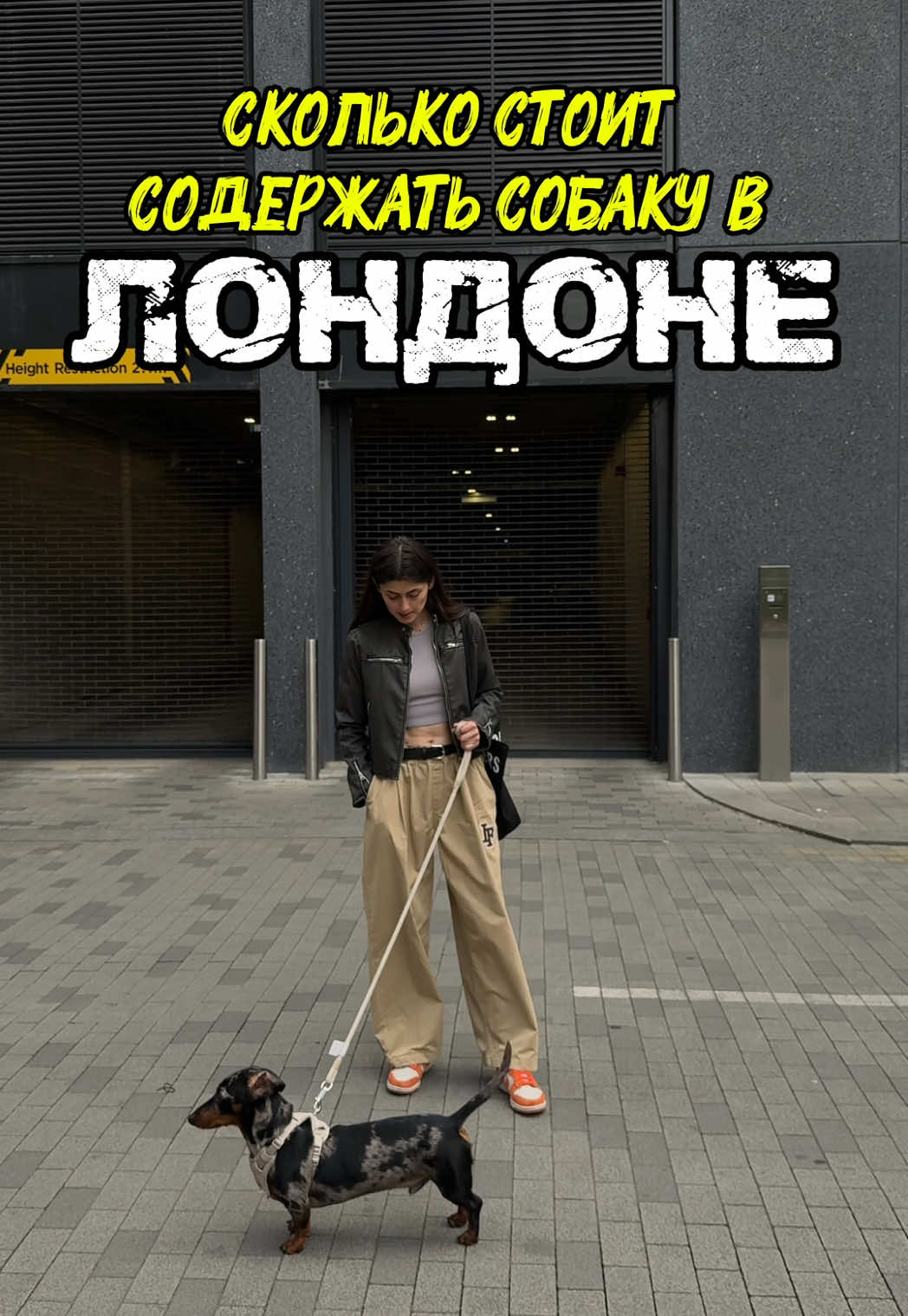 @JIFON