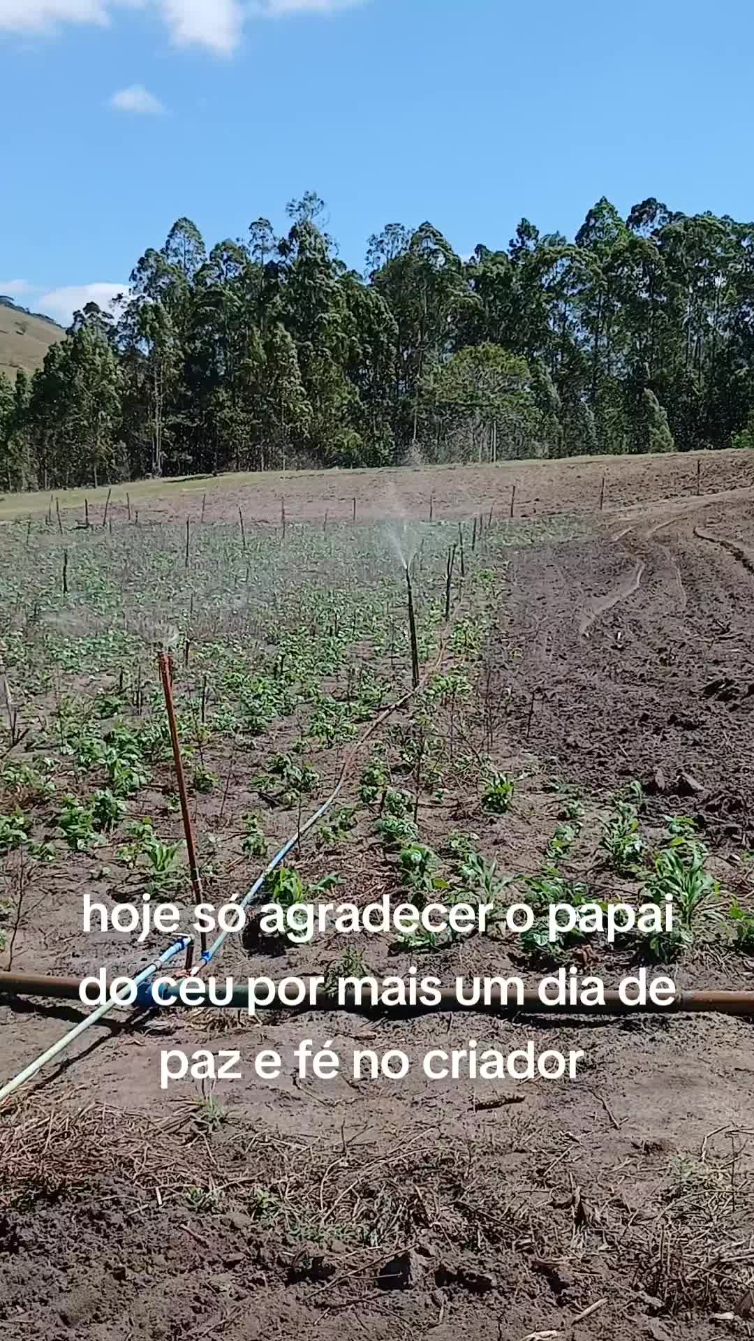 @ELIZEU  Batista