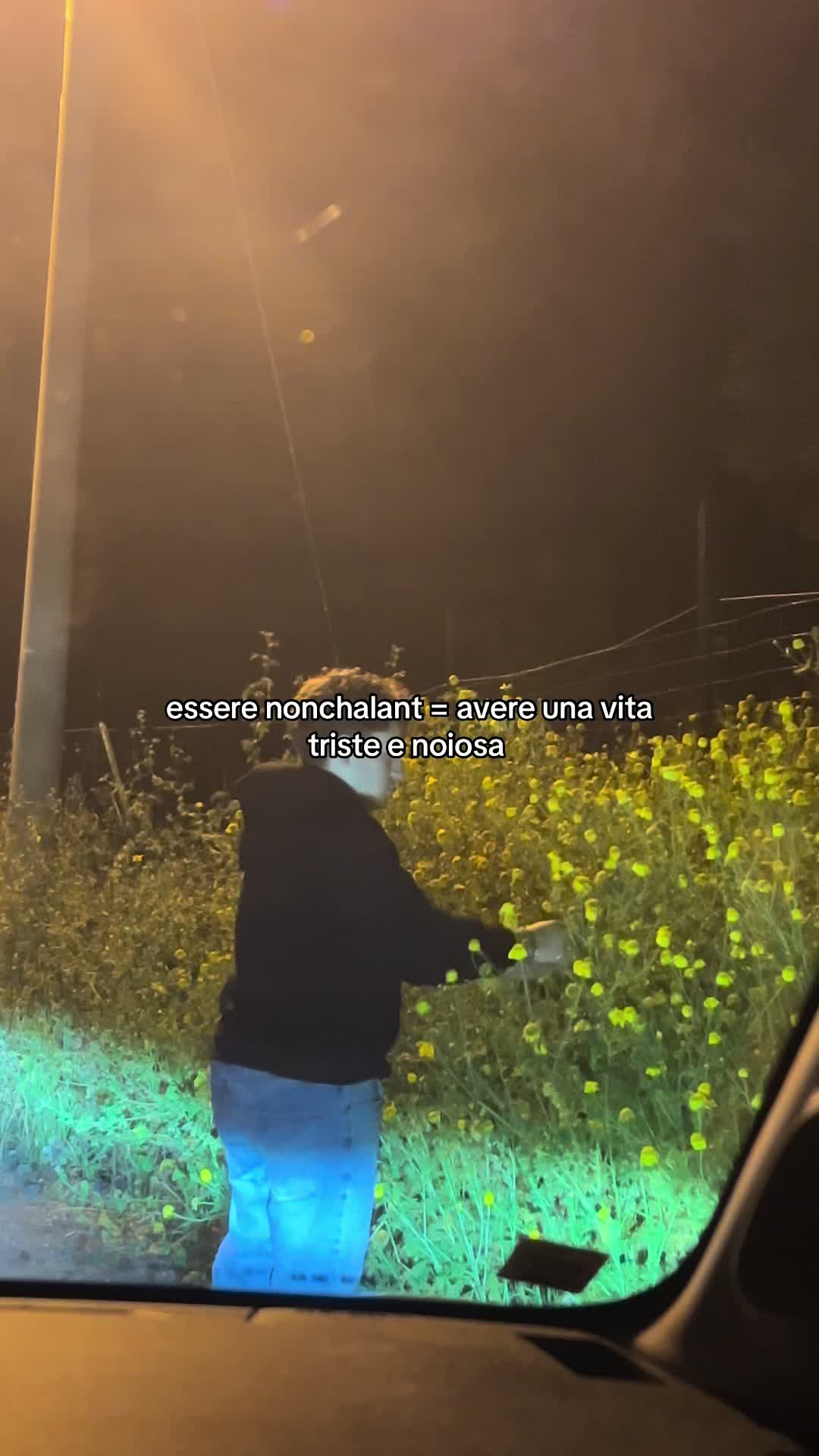 @sassa🌷🪩