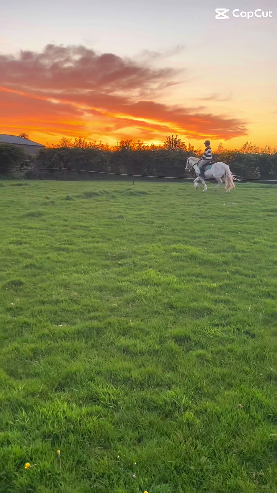 @aoibheann717