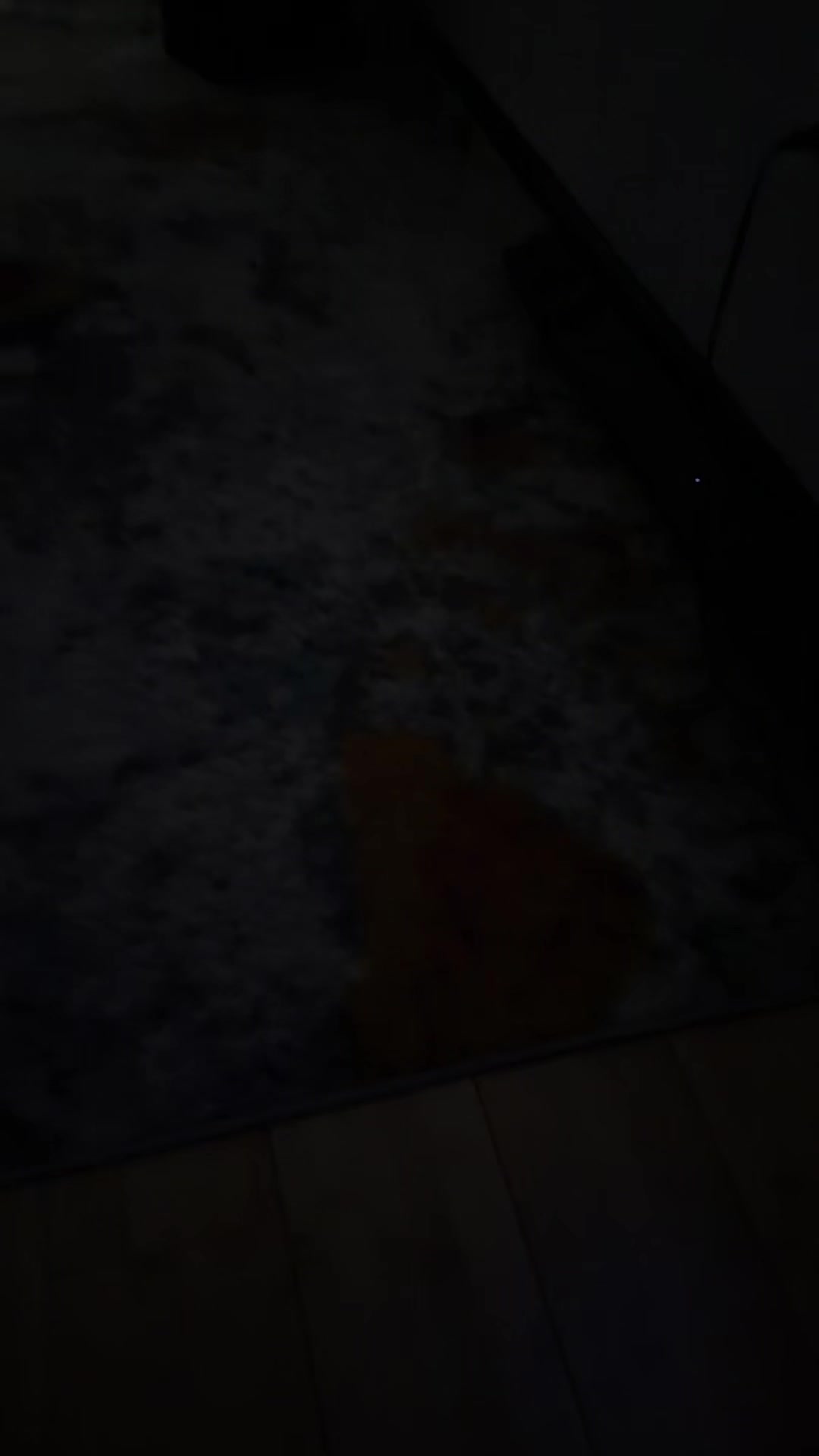@flaggercuzmel7