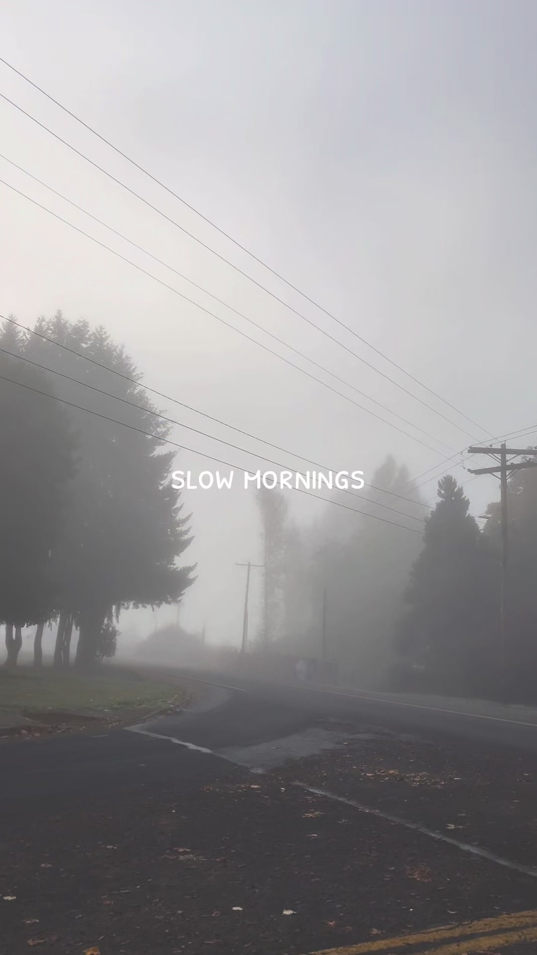 @pnw yolie &bull; 🌲☕️🌧️