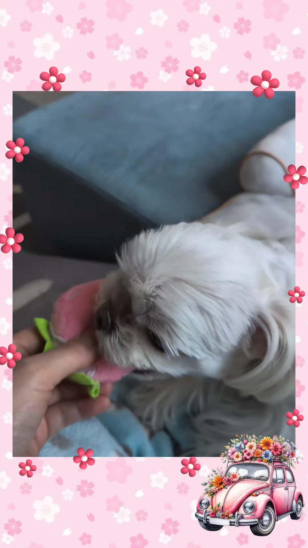 @벼리♡♡♡
