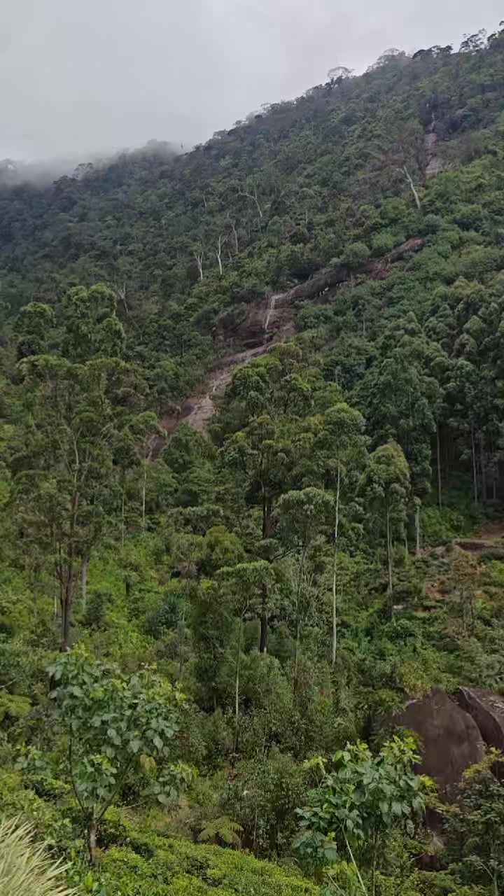 @Mano 👀👀Natural LoveR🇱🇰