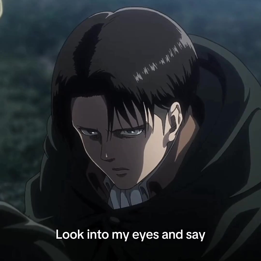 @Levi smith