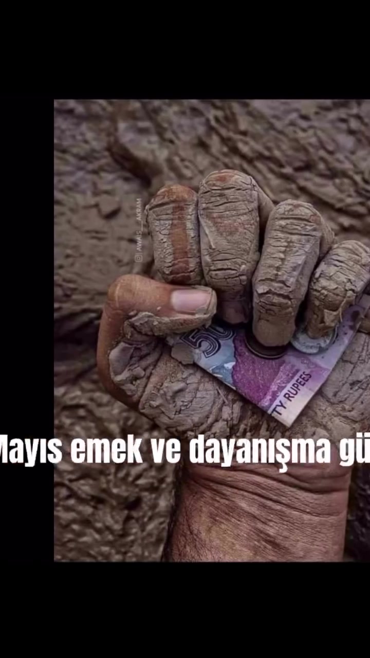 @seyit1313