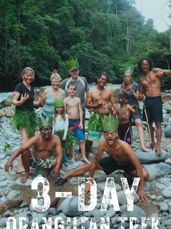 @The Jungle Guide