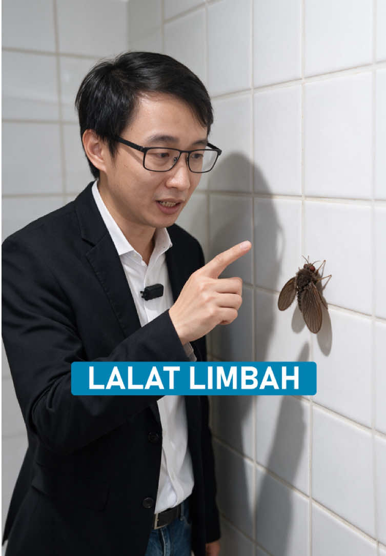 @Oscar Darmawan
