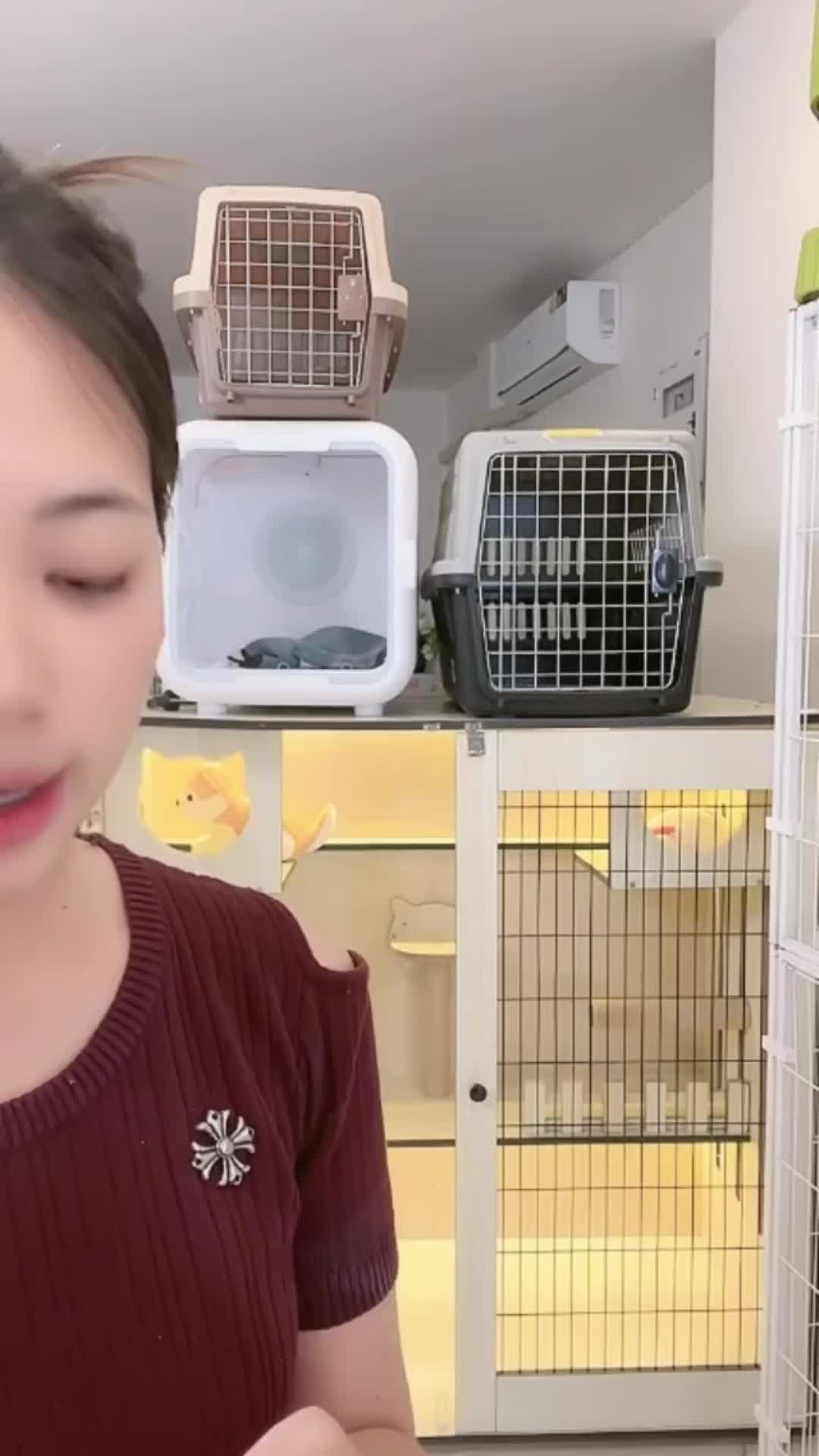 @petsland