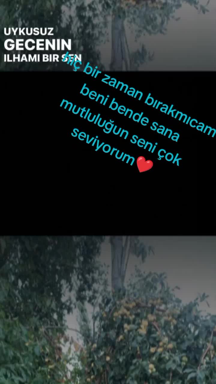 @Meryem Özlü