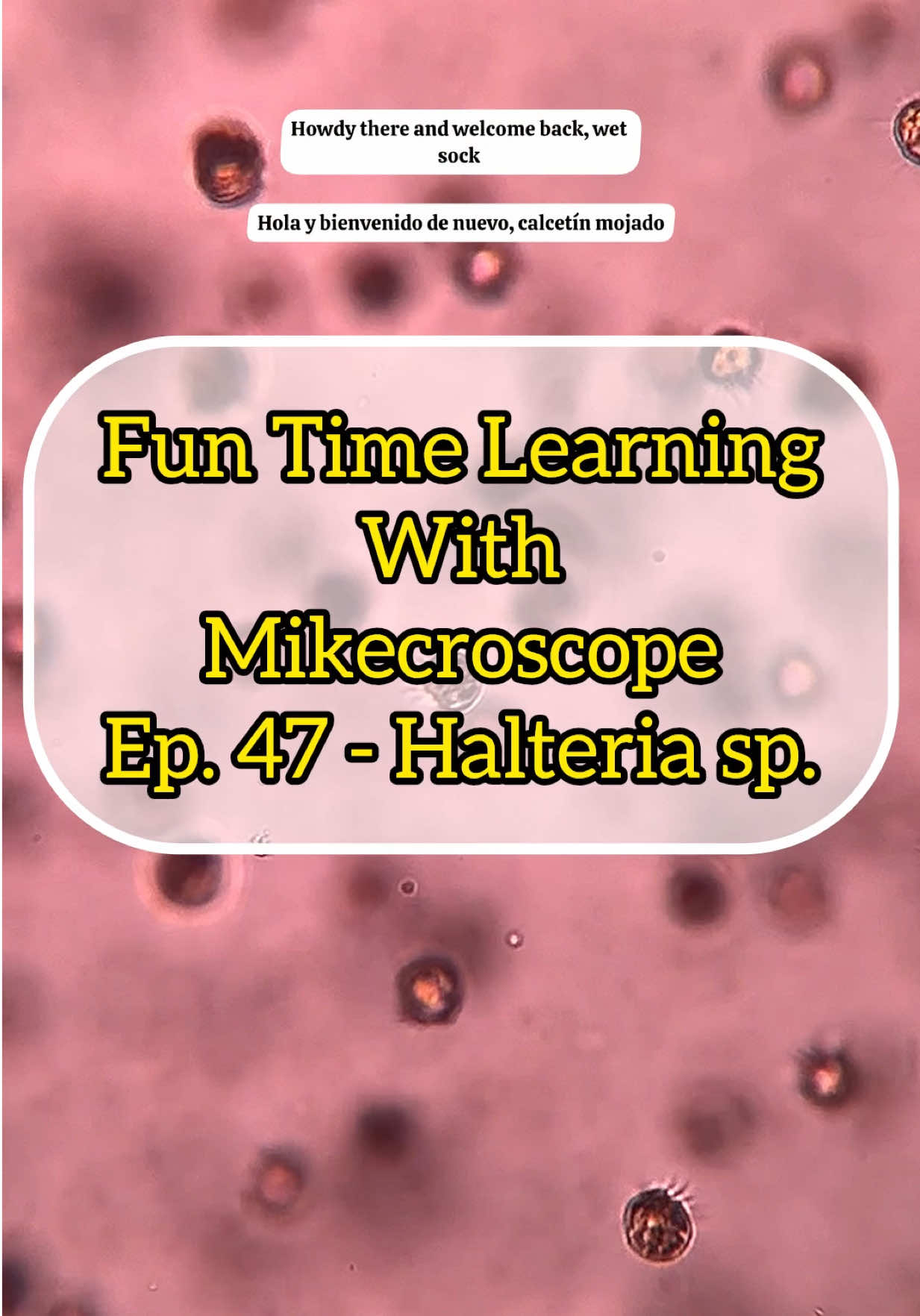 @Mikecroscope