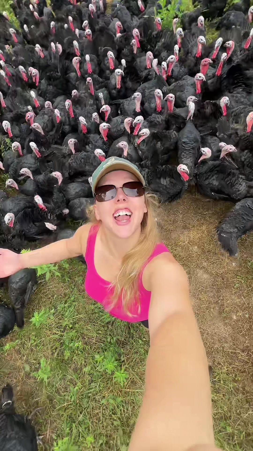 @farmerandtheharpiist